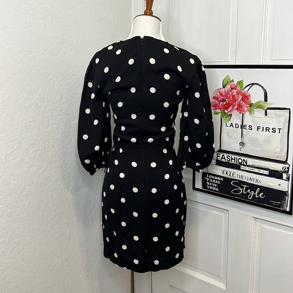 Rebecca Vallance Penelope BNW Polka Dot Mini Dress Size 0US - Picture 5 of 10